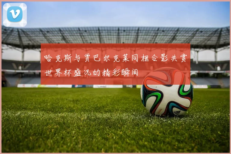 哈克斯与贾巴尔克莱同框合影共赏世界杯盛况的精彩瞬间
