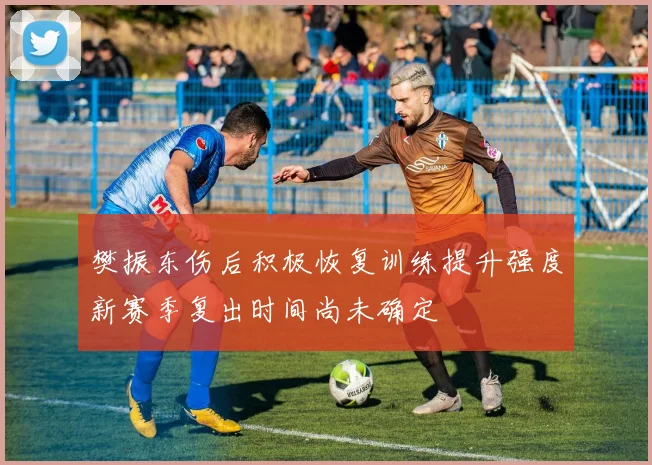 樊振东伤后积极恢复训练提升强度新赛季复出时间尚未确定